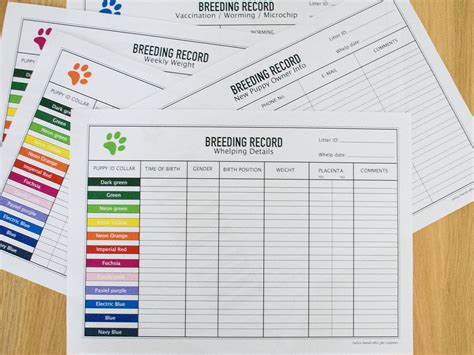 Puppy Breeding Charts In Pdf Record Keeping Charts For Etsy Uk
