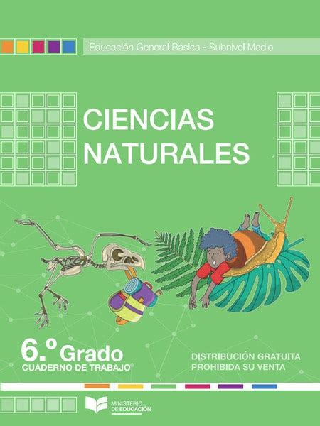 Cuaderno De Trabajo De Ciencias Naturales 6 】 ️