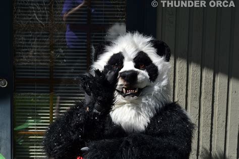 My Panda Fursuit Part 11 — Weasyl