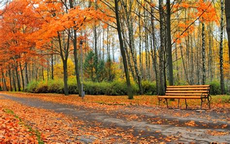 Wallpaper Beautiful Autumn Park Trees Leaves Bench 3840x2160 Uhd 4k