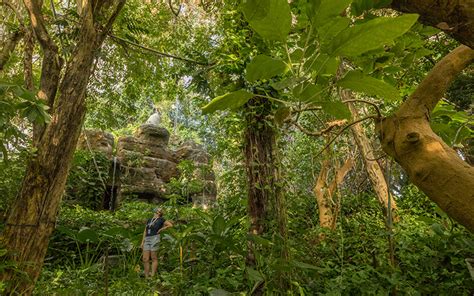 Biosphere 2 Study Shows Tropical Forest Resilience