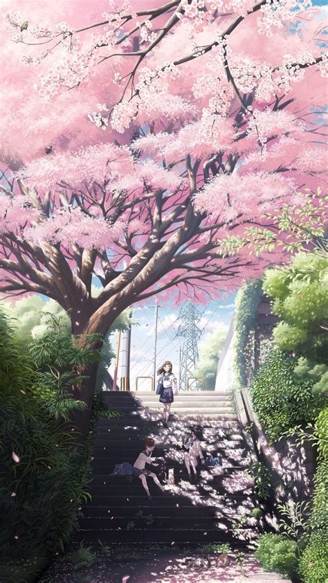 Sakura Trees Anime Aesthetic Cherry Blossom  Cenário Anime 8bit