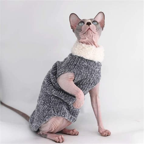 Hairless Cats In Sweaters