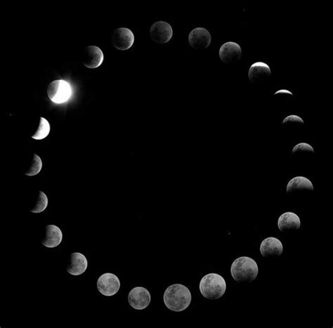 Fases Da Lua O Que São Por Que Acontece E Características De Cada Ciclo
