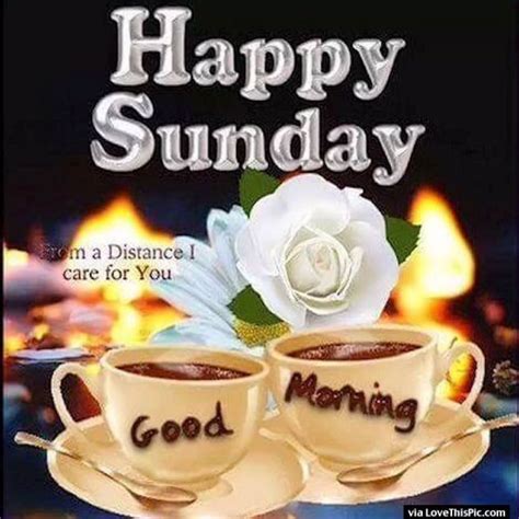 Good Morning Wishes On Sunday Pictures Images Page 4
