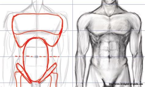 Male Torso Drawing Male Torso Drawings Body Sketches