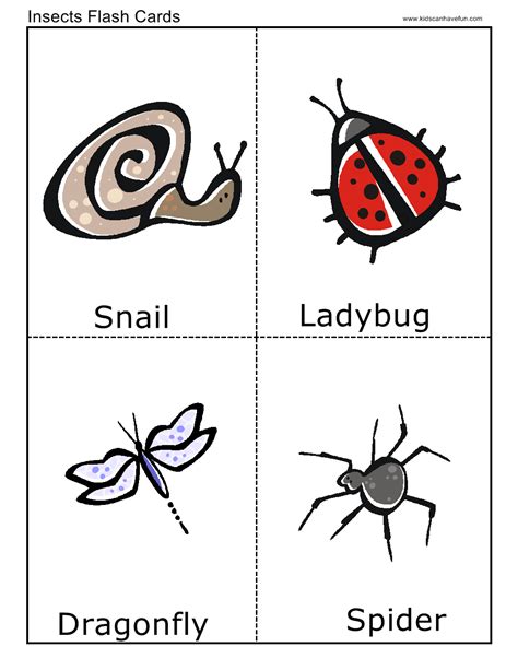 Insect Flashcards Flashcards Pinterest Insects English Fun And