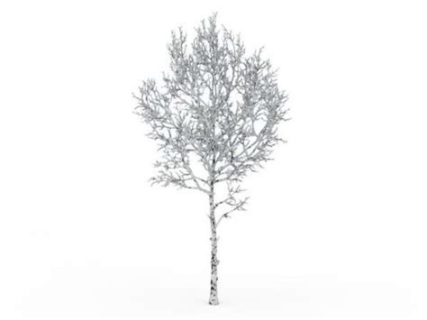 Snow Covered Tree Free 3d Model Max Open3dmodel