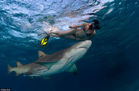 Bikini Clad Shark Warrior Swims Close To Tiger Sharks To Prove They Don T Bite Often Daily