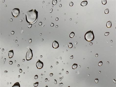 Gambar Air Penurunan Daun Jendela Kaca Titisan Hujan Jumlah