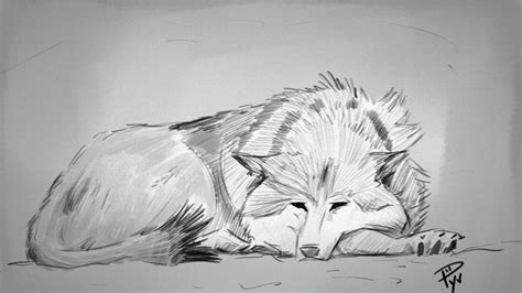 Sad Wolf Drawing At Explore Collection Of Sad Wolf