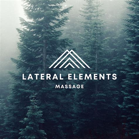 Lateral Elements Massage Massage Therapist In Sartell