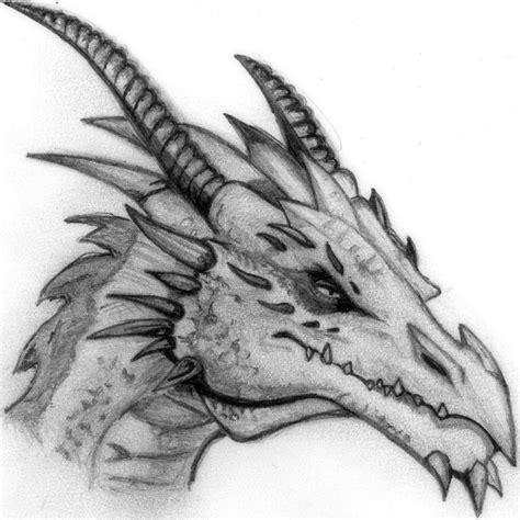 Cool Dragon Drawings Free 21 Realistic Dragon Drawings In Ai