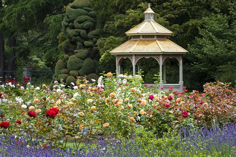 Rose garden chapel has provided funeral and cremation services for barrhead, alberta, and surrounding areas since 1988. Rose Garden Gazebo Photograph by Sonya Lang