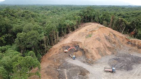 Deforestation Facts Causes And Effects Live Science