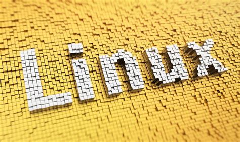 Linux Dig Command How To Install It And Use It Cloudns Blog
