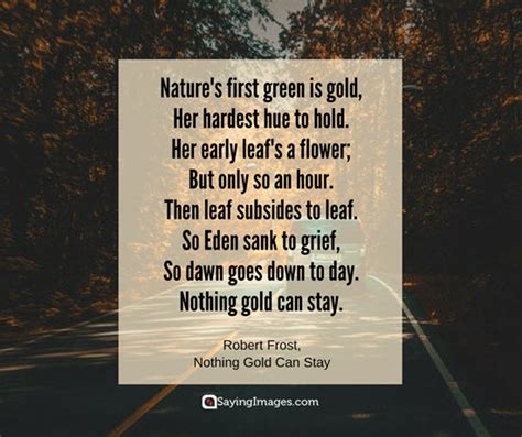 Check spelling or type a new query. 30 Nature Quotes: The Hues of the Earth Is All It Takes ...