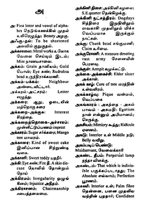 Tamil English Tamil Dictionary