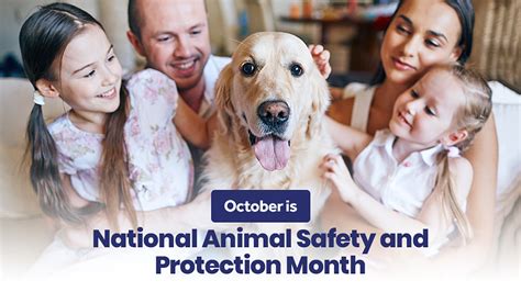 October Is National Animal Safety And Protection Month Minnesota