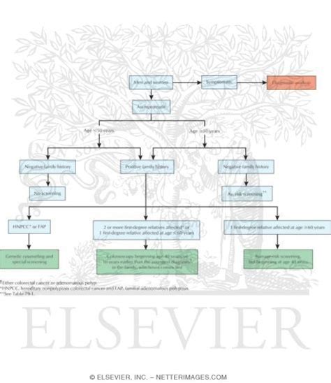 Learn how colon cancer is treated, including the use of surgery, chemotherapy, radiation, target therapies, immunotherapy, and complementary medicine. Algorithm for Colorectal Cancer Screening