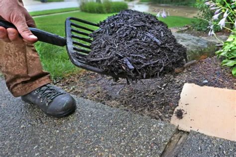 Why Mulch Is So Important Mulch Types Benefits And Maintenance Tips