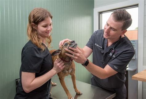 Legacy Veterinary Group