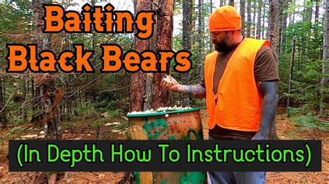 Black Bear Baiting An In Depth How To Video Youtube