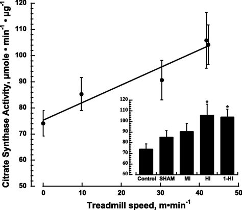 Adaptations to high-intensity intermittent exercise in ...