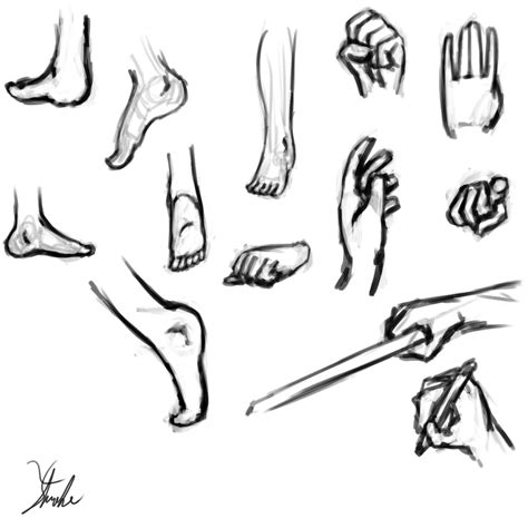 Hands And Feet Sketches By Xenstroke On Deviantart