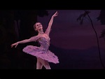 如何评价英国皇家芭蕾舞团（The Royal Ballet）的首席Marianela Nunez？ - 知乎
