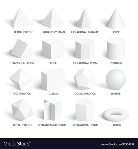 All Basic 3d Shapes Template Royalty Free Vector Image