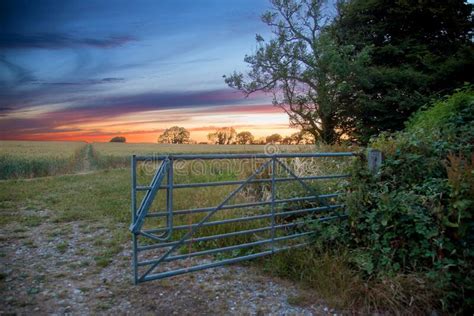 Dorset Farm Field At Sunset Stock Photo Image Of Millions Cerne