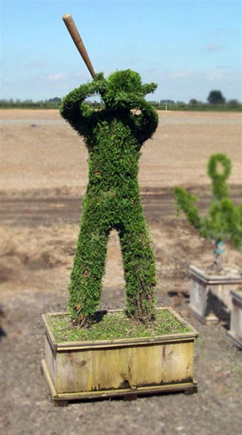 We The Leading Source Of Live Topiary Plants And Trees Animal Topairy