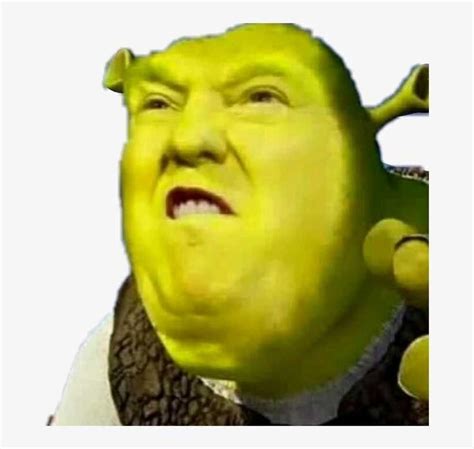 Shrek Meme Face Discover More Interesting Cartoon Donald Trump Face
