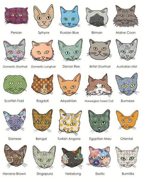 Head Shapes And Patterns For 25 Breeds Of Cats Cat Breeds Chart