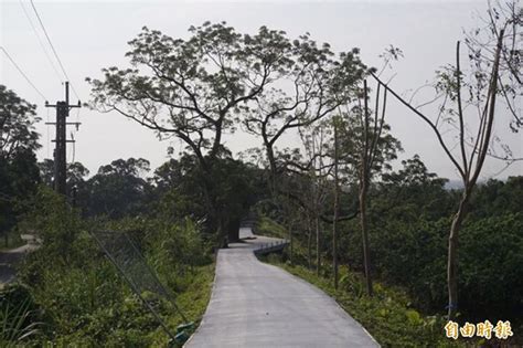 15,145 likes · 166 talking about this. 水泥包圍百年苦楝樹根 網友發動搶救 - 生活 - 自由時報電子報