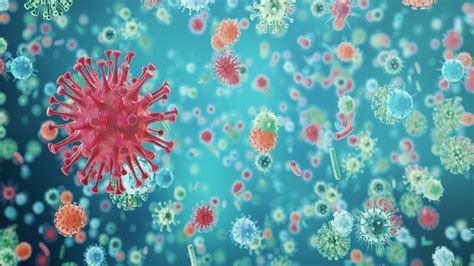 Taiwan reported its first coronavirus death on the island on sunday. Coronavirus: Malaysia Covid-19 updates, cases, measures ...