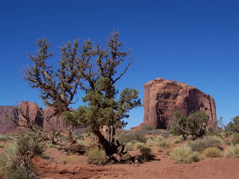 Join royce bair on this amazing starry night photo workshop in monument valley. Free Monument Valley Stock Photo - FreeImages.com