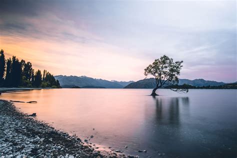 The 10 Best Free Things To Do In Wanaka New Zealand
