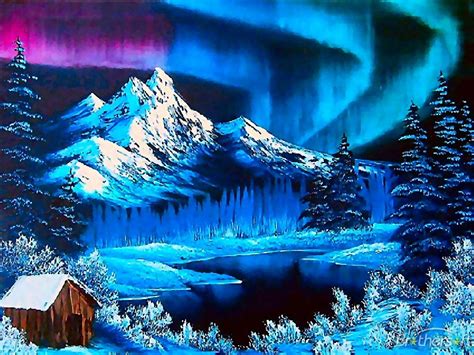 Northern Lights During The Winter Wallpaper Winter Photo
