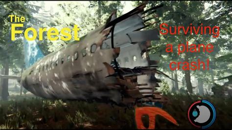 The Forest Surviving A Plane Crash Youtube
