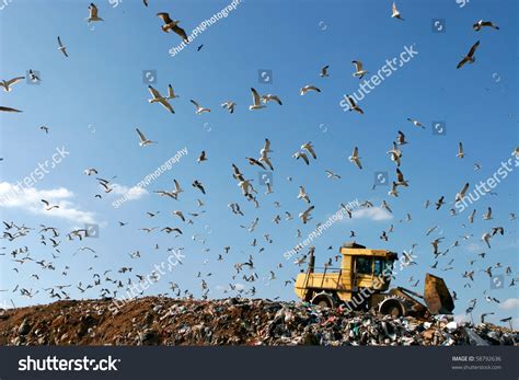 Landfill Bulldozer Working Against Beautiful Blue Stock
