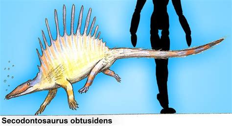 Secodontosaurus Alchetron The Free Social Encyclopedia