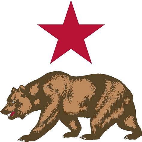 California Flag Bear And Star By Argosdesigns Redbubble California Flag Art California Bear