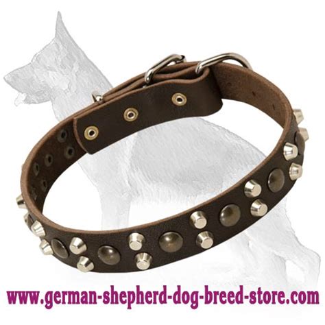 Custom Studded German Shepherd Leather Dog Collar German Shepherd