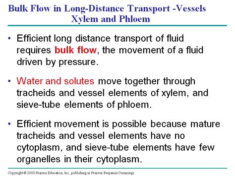 Bulk Flow Driven By Negative Pressure In The Xylem