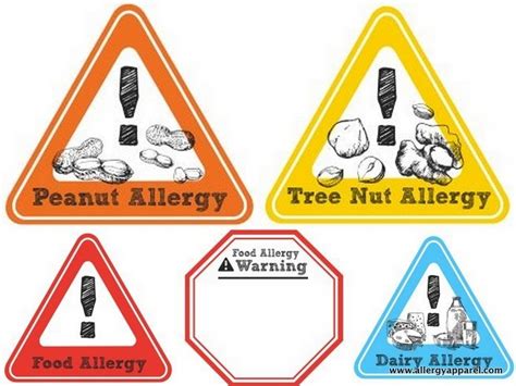 Food Allergy Stickers Allergy Warning Stickers Peanut Allergy