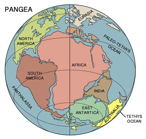 Continental Drift Ck 12 Foundation