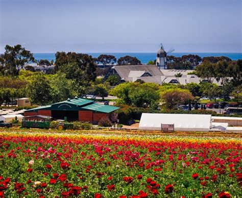 10 Things To Do In San Diego In Spring April Events And More