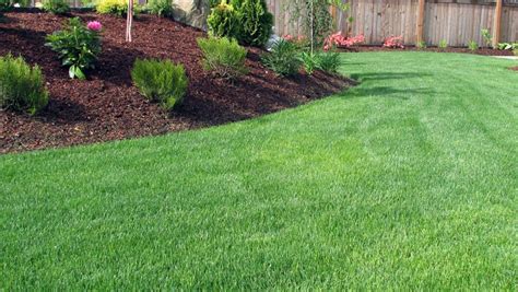 Landscaping And Lawn Care Tapin Services Company Llc